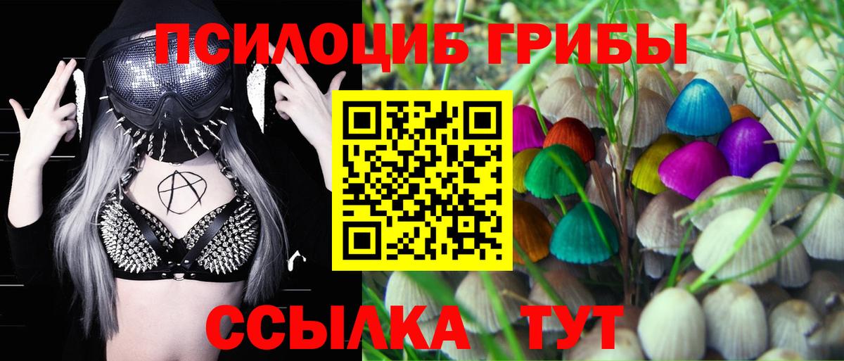 Сыктывкар  Галлюциногенные грибы Psilocybe  Псилоцибиновые грибы мухоморы  Вход с VPN 