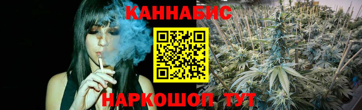 Бошки Шишки гибрид  Марихуана план  Сыктывкар  Вход с VPN 
